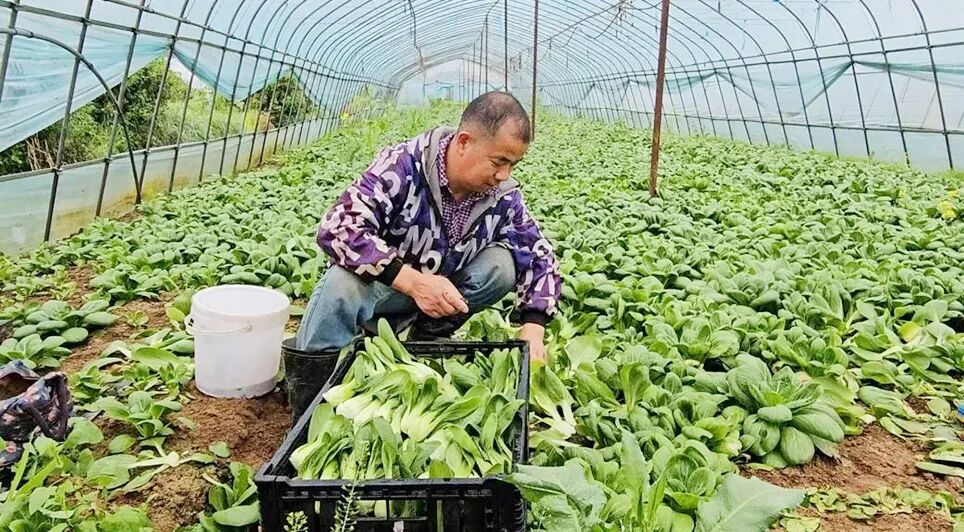九州酷游(酷游·ku游)官方网站
