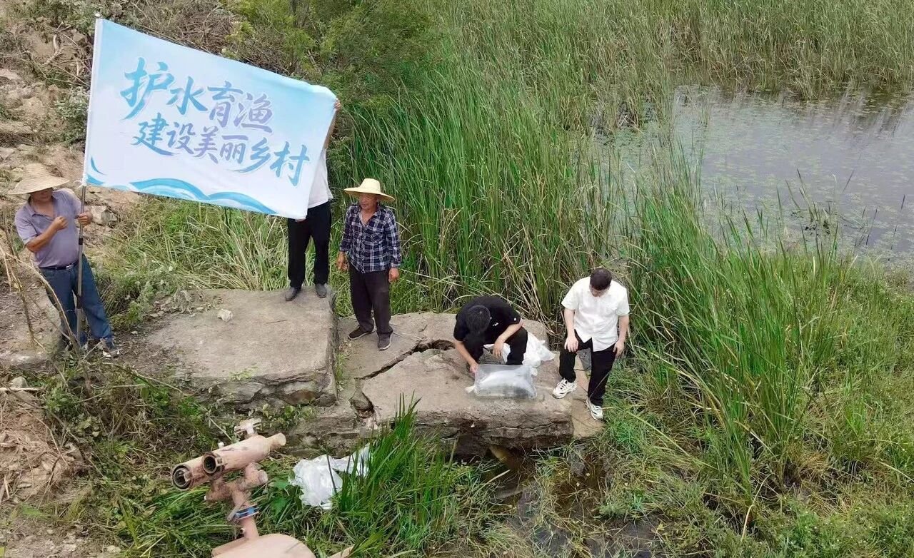 ece87706d88c55e1b6d9985772dfe339 九州酷游(酷游·ku游)官方网站